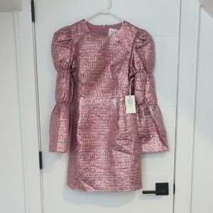 NWT Hyacinth House Pink Metallic Dress